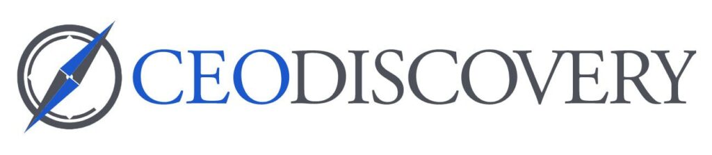 ceo discovery customer software professional services